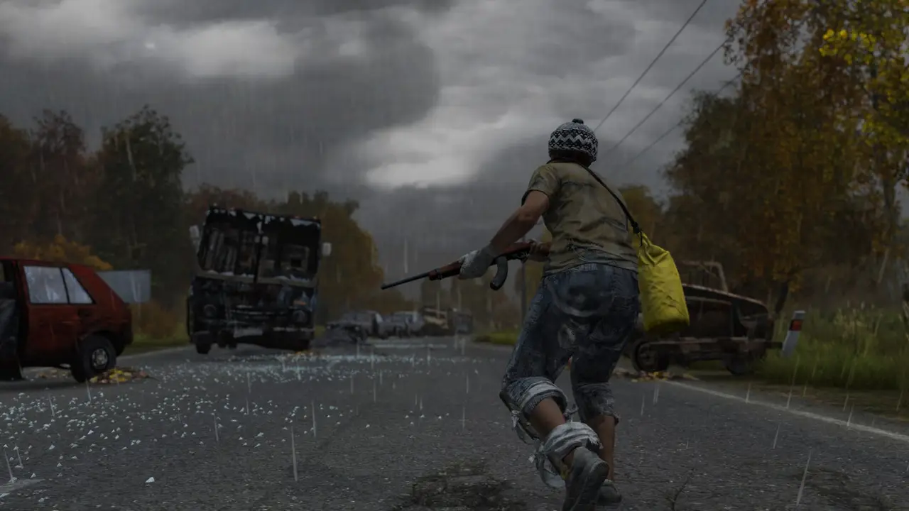 Imagen oficial 1 de DayZ