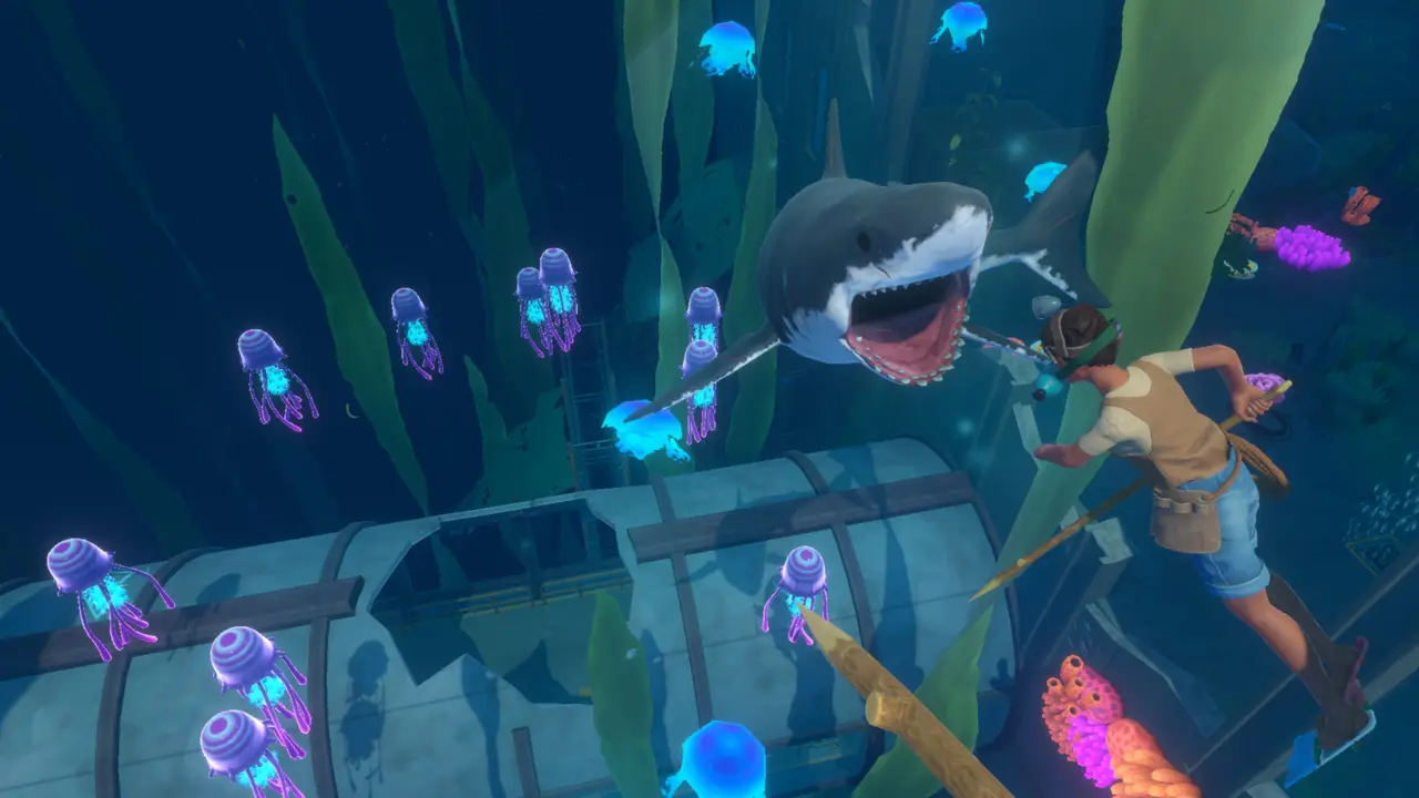 Imagen oficial 2 de Raft
