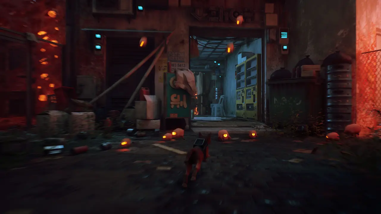 Imagen oficial 4 de Stray